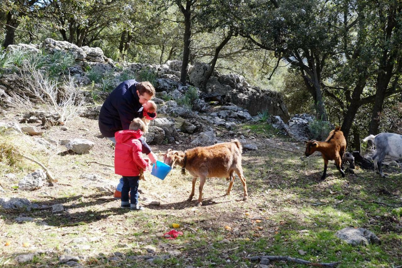 Vila Agroturismo Son Alzines Lluc Exteriér fotografie