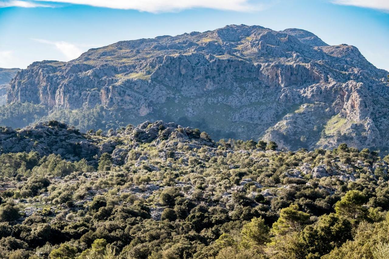 Vila Agroturismo Son Alzines Lluc Exteriér fotografie