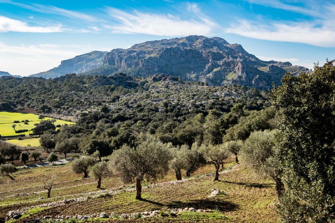 Vila Agroturismo Son Alzines Lluc Exteriér fotografie