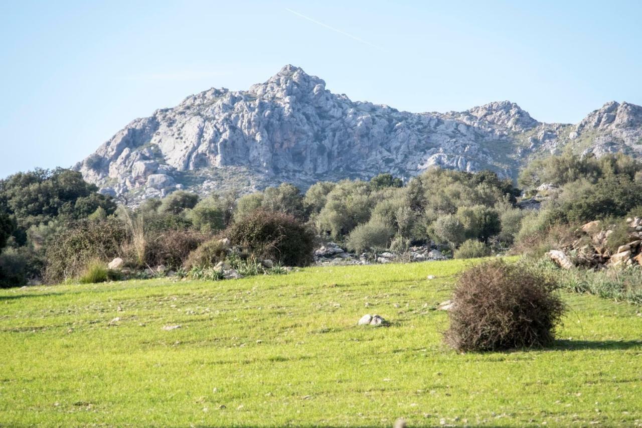 Vila Agroturismo Son Alzines Lluc Exteriér fotografie